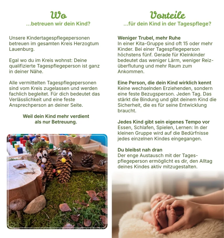 Flyer-Innenseite mit Einsatzgebiet, vier Vorteilen der Tagespflege und zwei Fotos aus dem Alltag